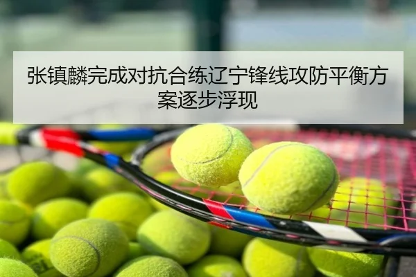 张镇麟完成对抗合练辽宁锋线攻防平衡方案逐步浮现