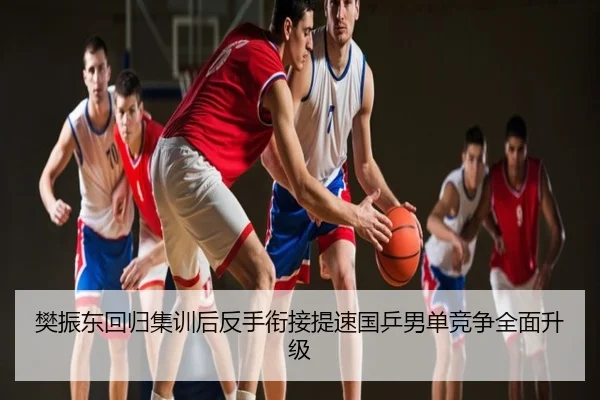 樊振东回归集训后反手衔接提速国乒男单竞争全面升级